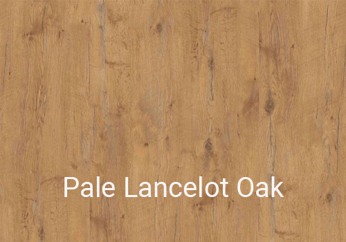 Pale-Lancelot-Oak